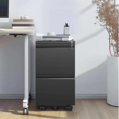 2 Drawer Metal Mobile File Cabinet with Lock for Hanging Legal/Letter/A4 Size